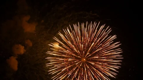 The fireworks in the night sky Stock Footage 89460758