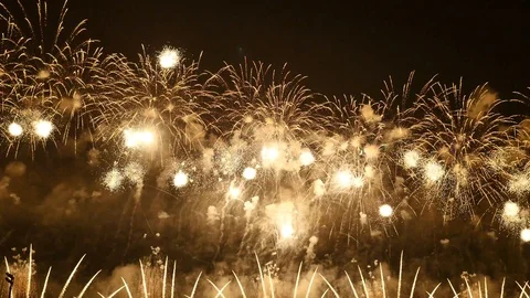 The fireworks in the night sky Stock Footage 89460771