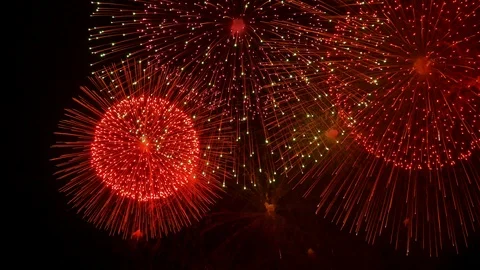 The fireworks in the night sky Stock Footage 89651663
