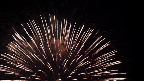 The fireworks in the night sky Video stock 89790623