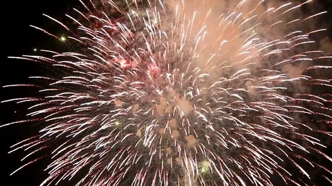 The fireworks in the night sky Stock Footage 91409190