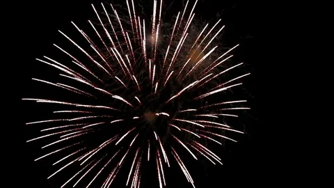 The fireworks in the night sky Stockbeeldmateriaal 91799540