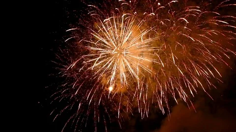 The fireworks in the night sky Vídeo Stock 91799545