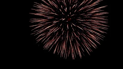The fireworks in the night sky Stock Footage 91963256