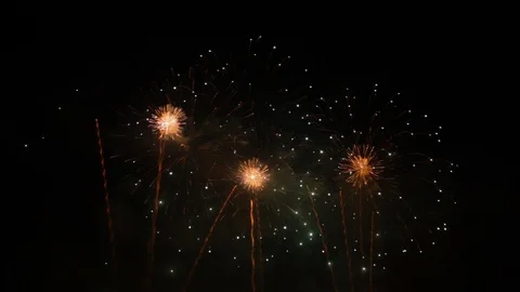 Fireworks in the Night Sky. Stock Footage 93525033