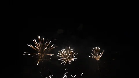 Fireworks in the Night Sky. Stock Footage 93525143