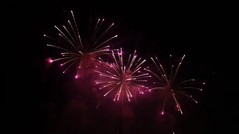 Fireworks in the Night Sky. Stock Footage 93525181