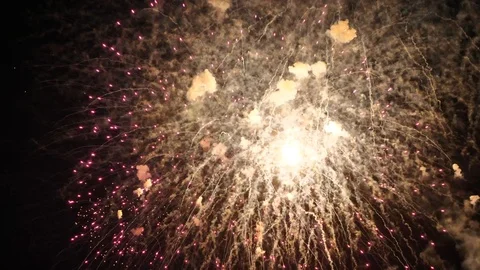 The fireworks in the night sky Stock Footage 95971051