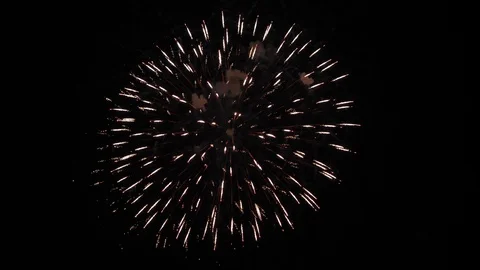 The fireworks in the night sky Stock Footage 95971087