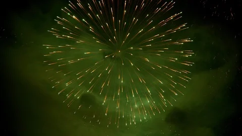 The fireworks in the night sky Stock Footage 100692550