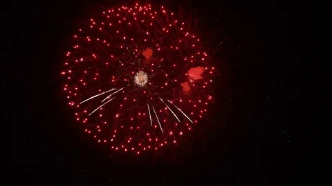 The fireworks in the night sky Stock Footage 100692573