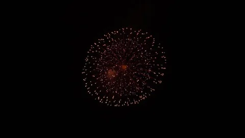 The fireworks in the night sky Vidéo 100692604