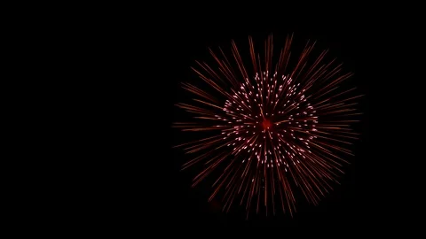 The fireworks in the night sky Stock Footage 100692719