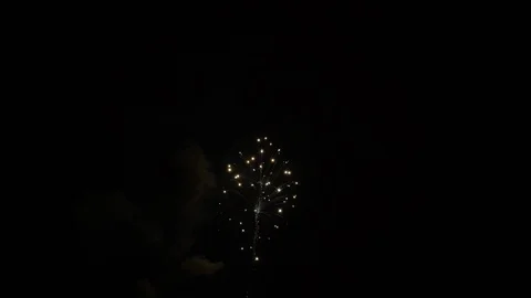 The fireworks in the night sky Stock Footage 100692787