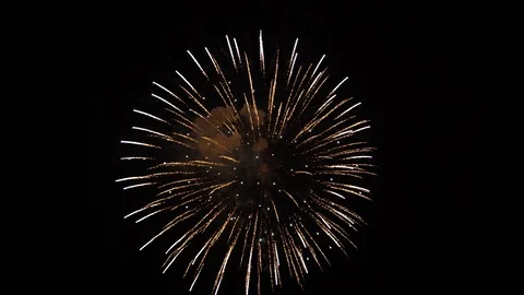 The fireworks in the night sky Stock Footage 100692815