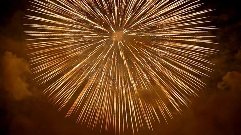 The fireworks in the night sky Vidéo 100692826