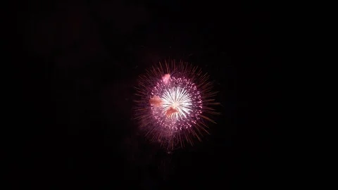 The fireworks in the night sky Stock Footage 100692866