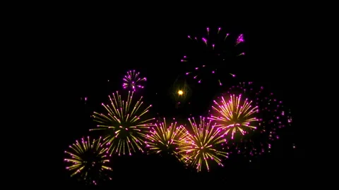 Fireworks in the night sky Vidéo 103542642