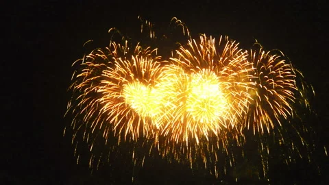 Fireworks in the night sky Stock Footage 103605951