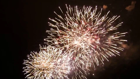 Fireworks in the night sky Stock Footage 115913178