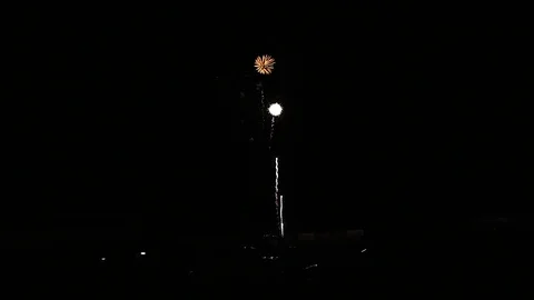 Fireworks in night sky Video stock 118492422
