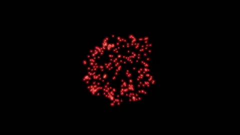 Fireworks in the night sky Stock Footage 146578415