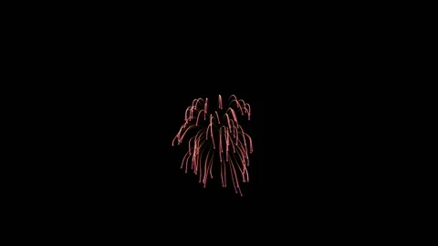 Fireworks in the night sky Stock Footage 146606825