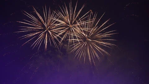 Fireworks in the night sky Stock Footage 157505647