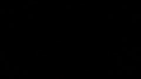 The fireworks in the night sky Stock-Footage 166186275