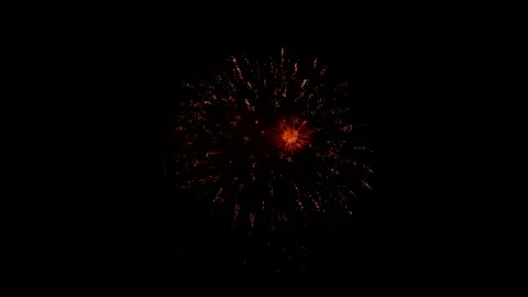 The fireworks in the night sky Stock Footage 166186288