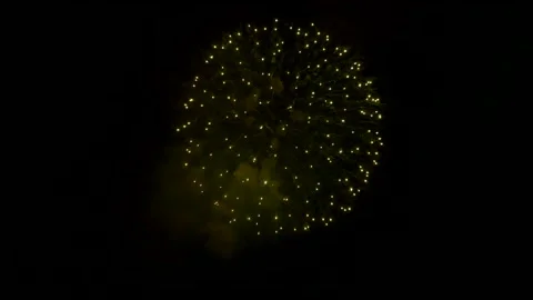 The fireworks in the night sky Stock Footage 166186290
