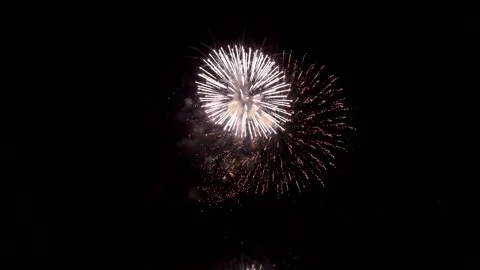 The fireworks in the night sky Stock Footage 166186301