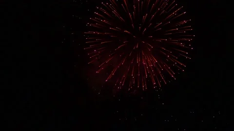 The fireworks in the night sky Stock-Footage 166186311