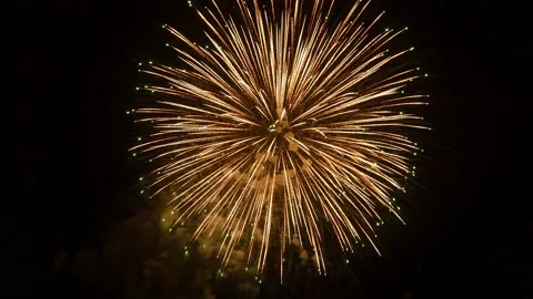 The fireworks in the night sky Stock Footage 166186314