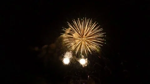 The fireworks in the night sky Stock-Footage 166186320