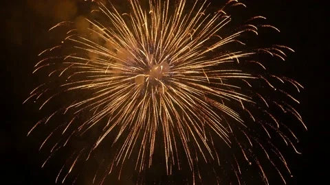 The fireworks in the night sky Stock Footage 166186334