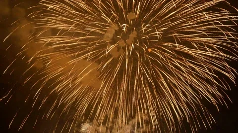The fireworks in the night sky Stock Footage 166186338