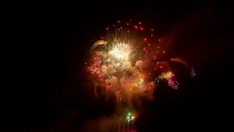 The fireworks in the night sky Stock Footage 166186369