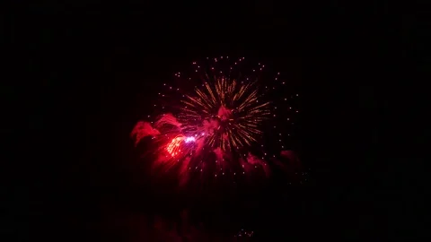 The fireworks in the night sky Stock Footage 166186396