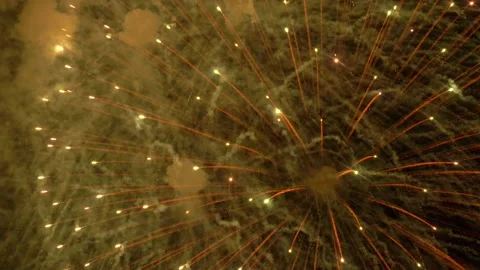 The fireworks in the night sky Stock Footage 166186406