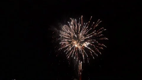 The fireworks in the night sky Stock Footage 166186415