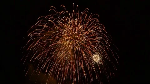 The fireworks in the night sky Stock Footage 166186450