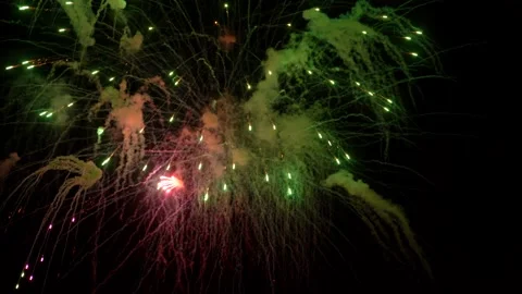 The fireworks in the night sky Stock Footage 166186473