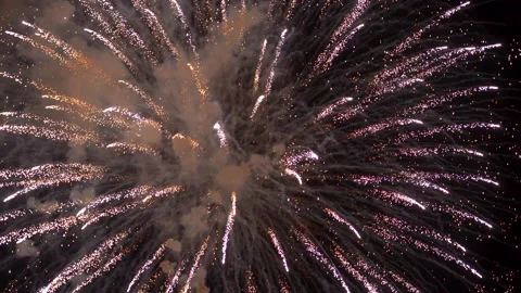 The fireworks in the night sky Stock Footage 166186478