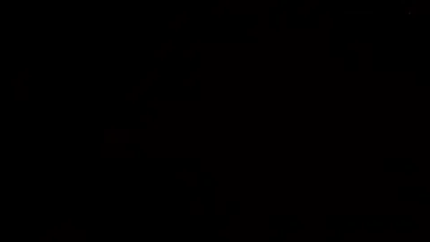 The fireworks in the night sky Stock-Footage 166186506