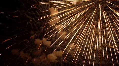 The fireworks in the night sky Stock Footage 166186508