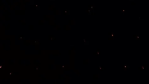 The fireworks in the night sky Stock Footage 166186510