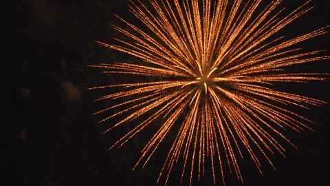 The fireworks in the night sky Video stock 166186516