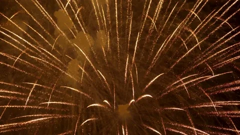 The fireworks in the night sky Stock Footage 166186518