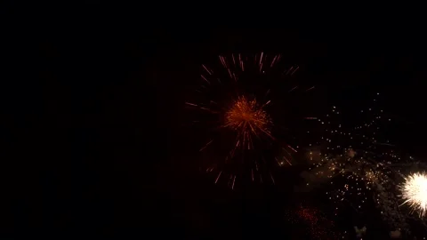 The fireworks in the night sky Stock Footage 166186520